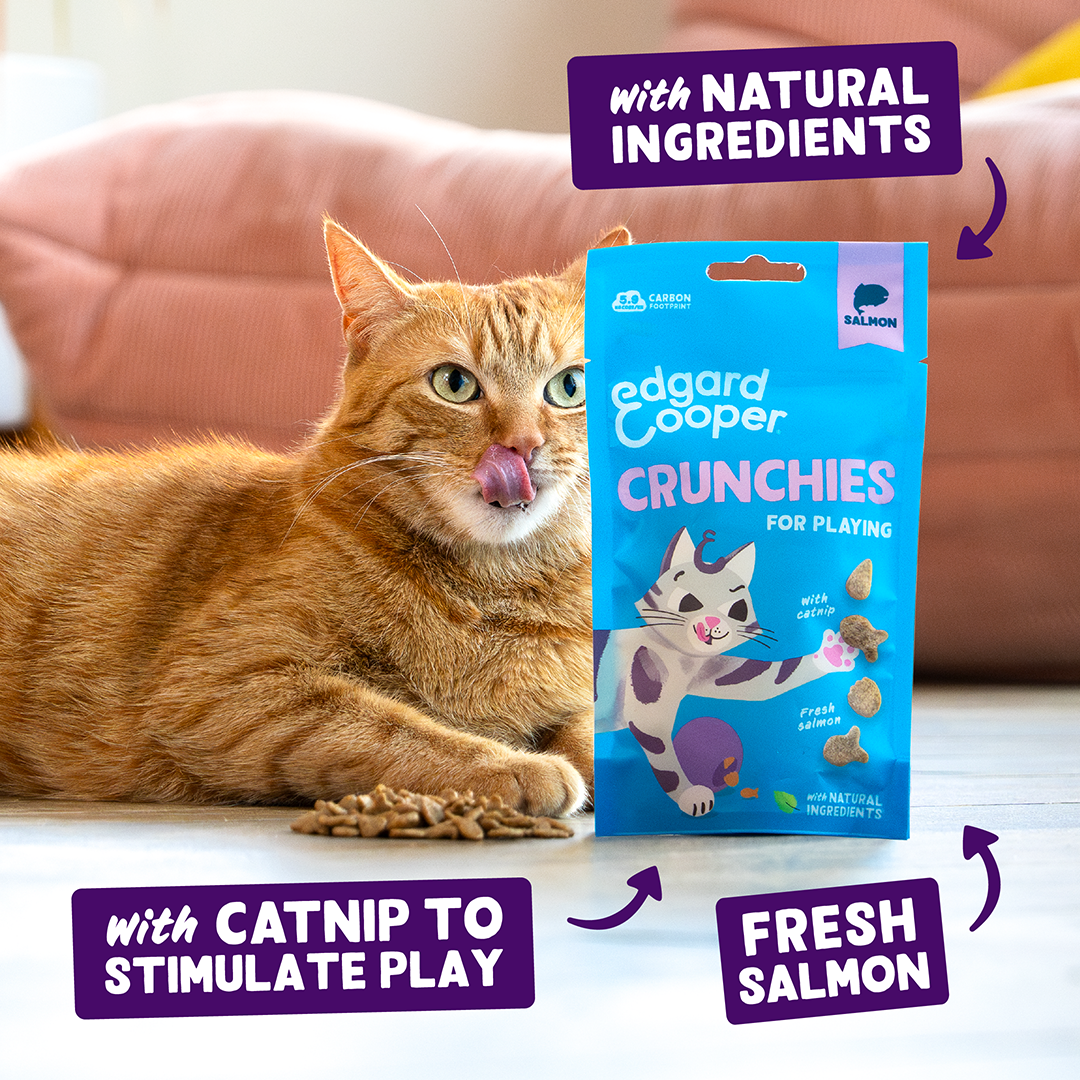 Edgard & Cooper Cat Salmon Crunchies 50g