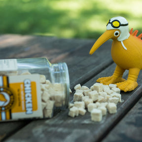 Kiwi Walker Snack Chicken