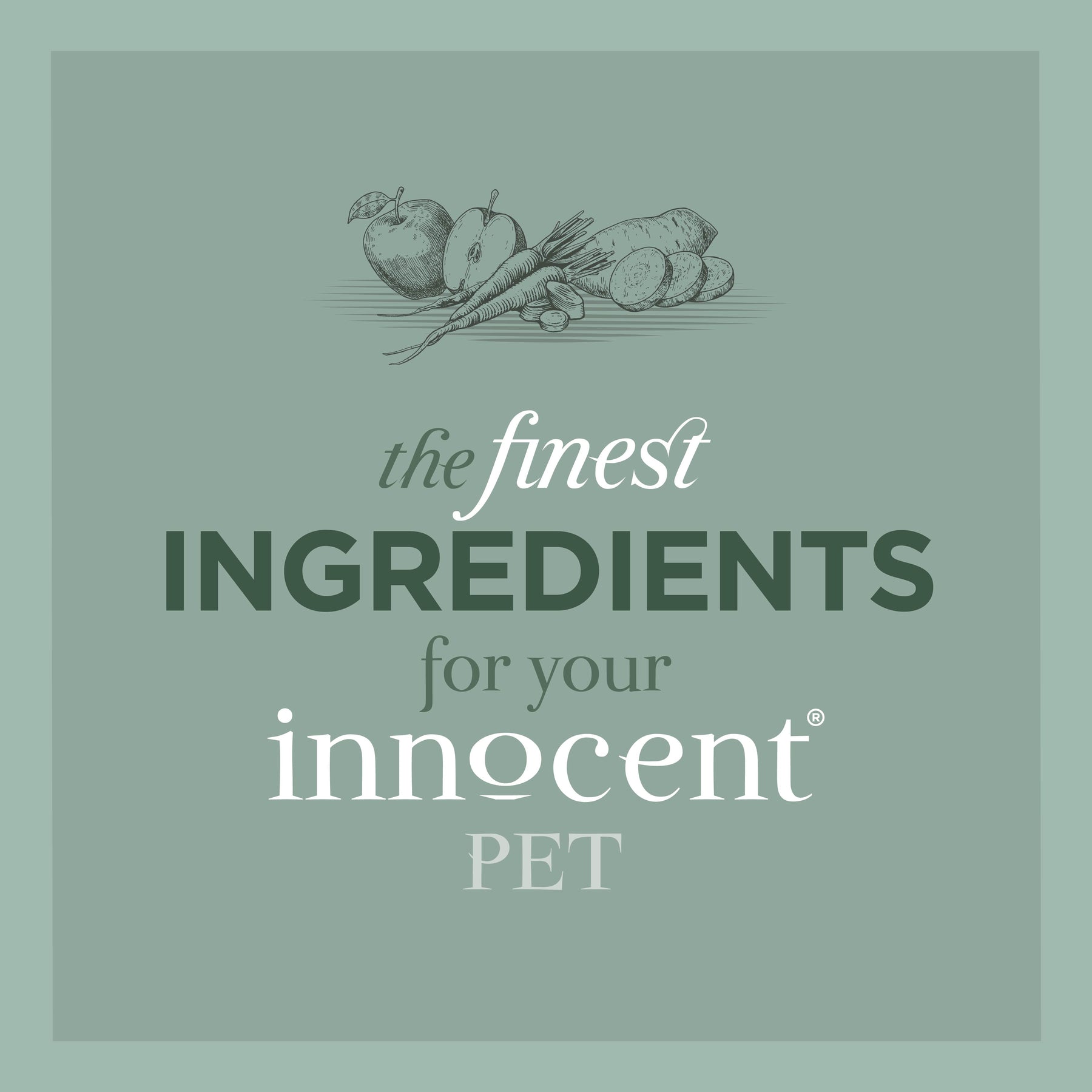 Innocent Hound Salmon Bites Sweet Potato
