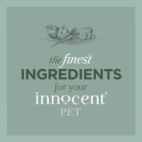 Innocent Hound Salmon Bites Sweet Potato