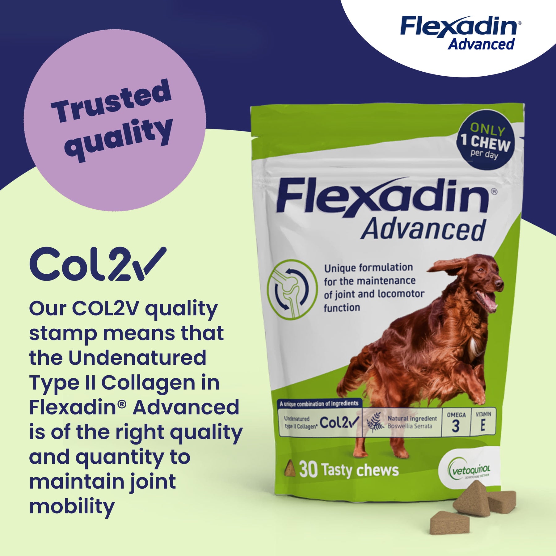 Flexadin Advanced Joint Care Supplement for Dogs
