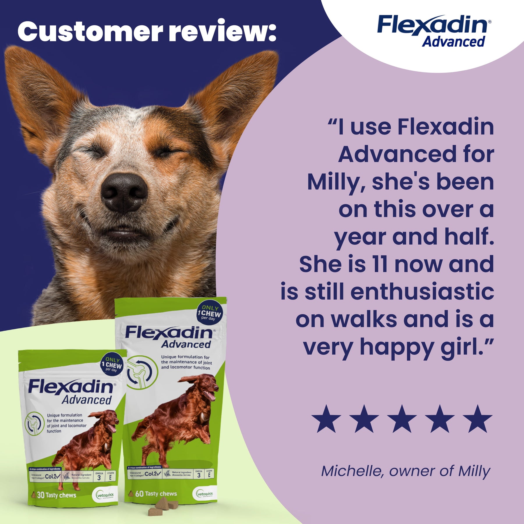 Flexadin Advanced Joint Care Supplement for Dogs