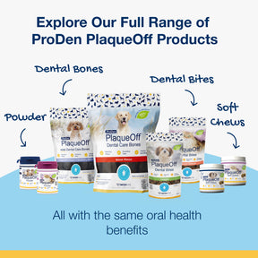 Plaque Off Mini Dental Bones Vegetable Fusion 20pk