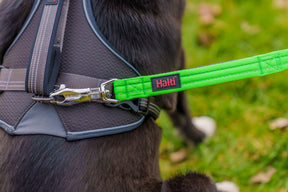 Halti BRIG Safety Lead Neon Green Large