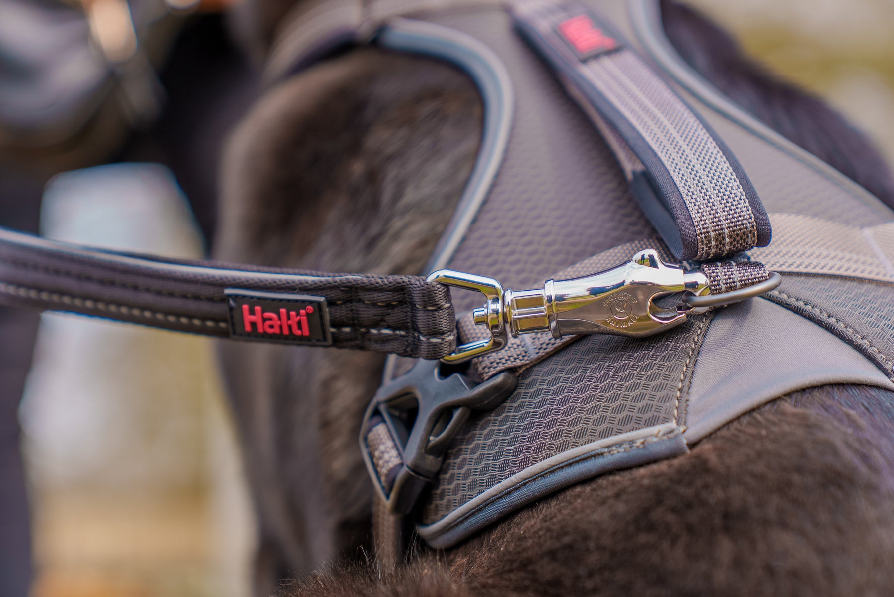 Halti BRIG Safety Lead Neon Yellow Large