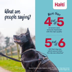 Halti BRIG Safety Lead Neon Coral Large