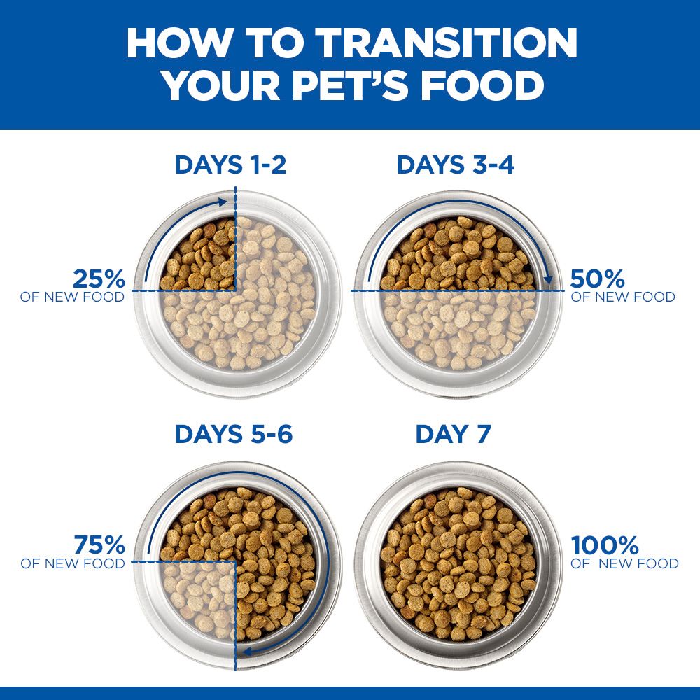 Hill's Science Plan Sensitive Stomach & Skin Small & Mini Adult Mousse Dog Food with Turkey