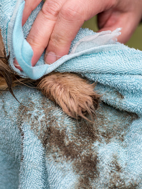 Nilaqua The Muddy Paws Towel Off Shampoo 240ml