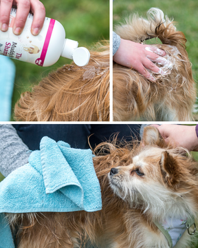 Nilaqua The Beach Day Towel Off Shampoo 240ml