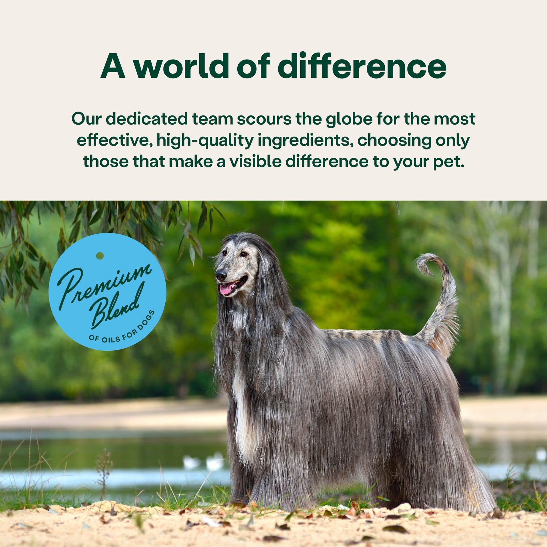 YuMOVE Skin & Coat Support Itching Adult Dog