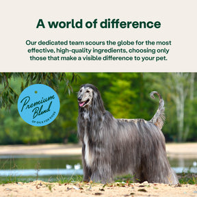 YuMOVE Skin & Coat Support Itching Adult Dog