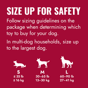 KONG Ball with Hole Dog Toy Large
