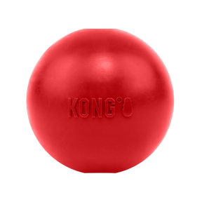 KONG Ball with Hole Dog Toy Large