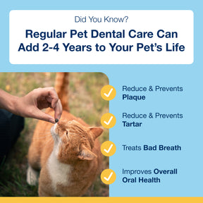 Plaque Off Dental Soft Chews Cats 120 Chews