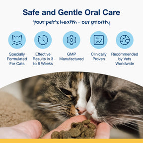Plaque Off Dental Bites Cats Salmon 60g