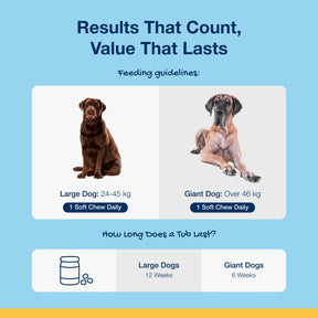 Plaque Off Dental Soft Chews Dogs Large 60 Chews