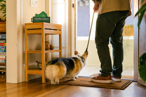 Earth Rated 300 Poop Bags Large Roll Unscented