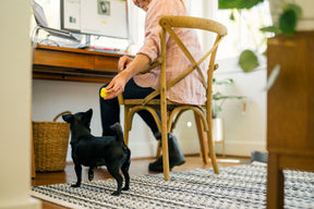 Earth Rated Fetch Toy Rubber (3 sizes)