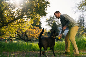 Earth Rated Fetch Toy Rubber (3 sizes)