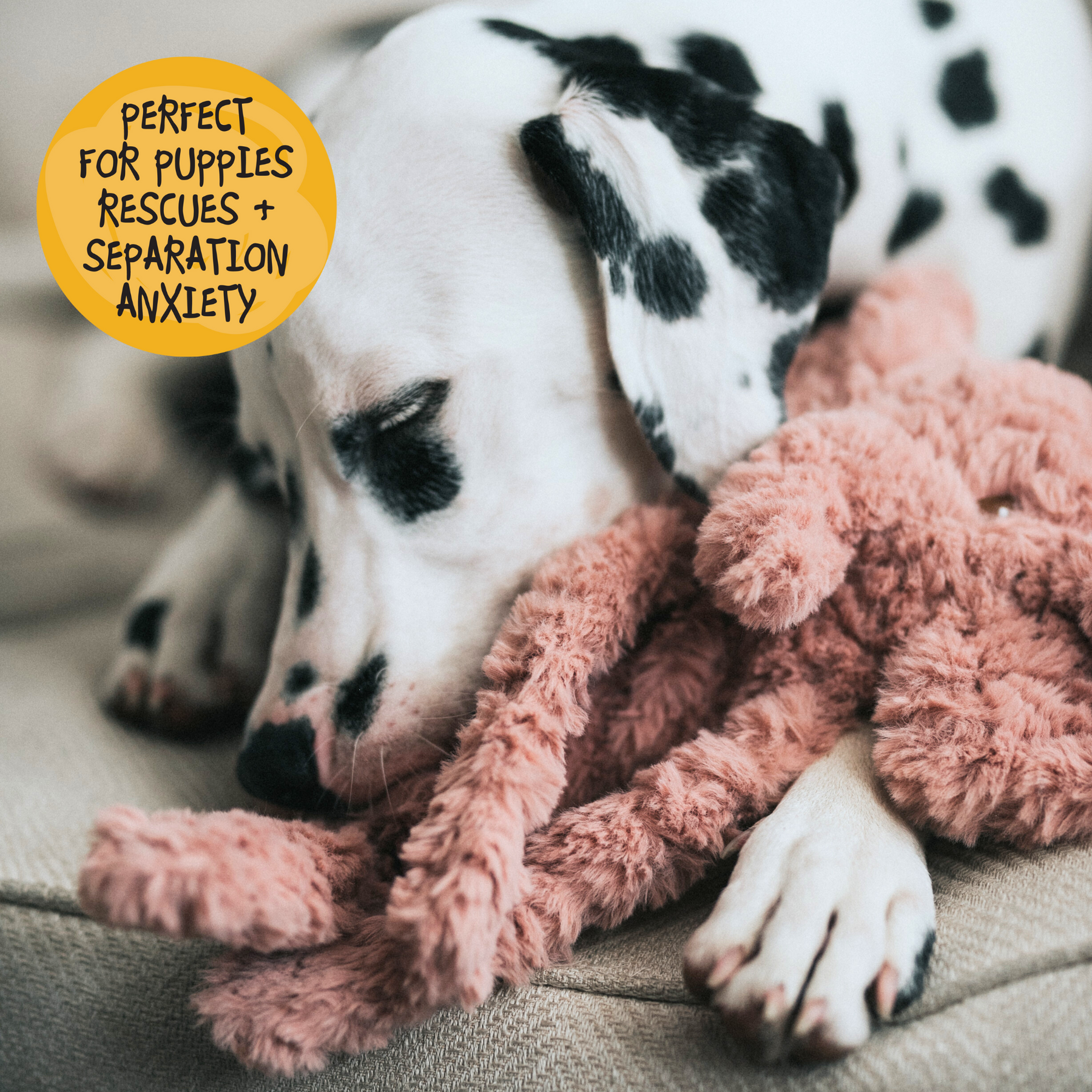 My Dog Elephant Dog Toy