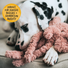 My Dog Elephant Dog Toy