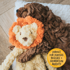 My Dog Lion Dog Toy
