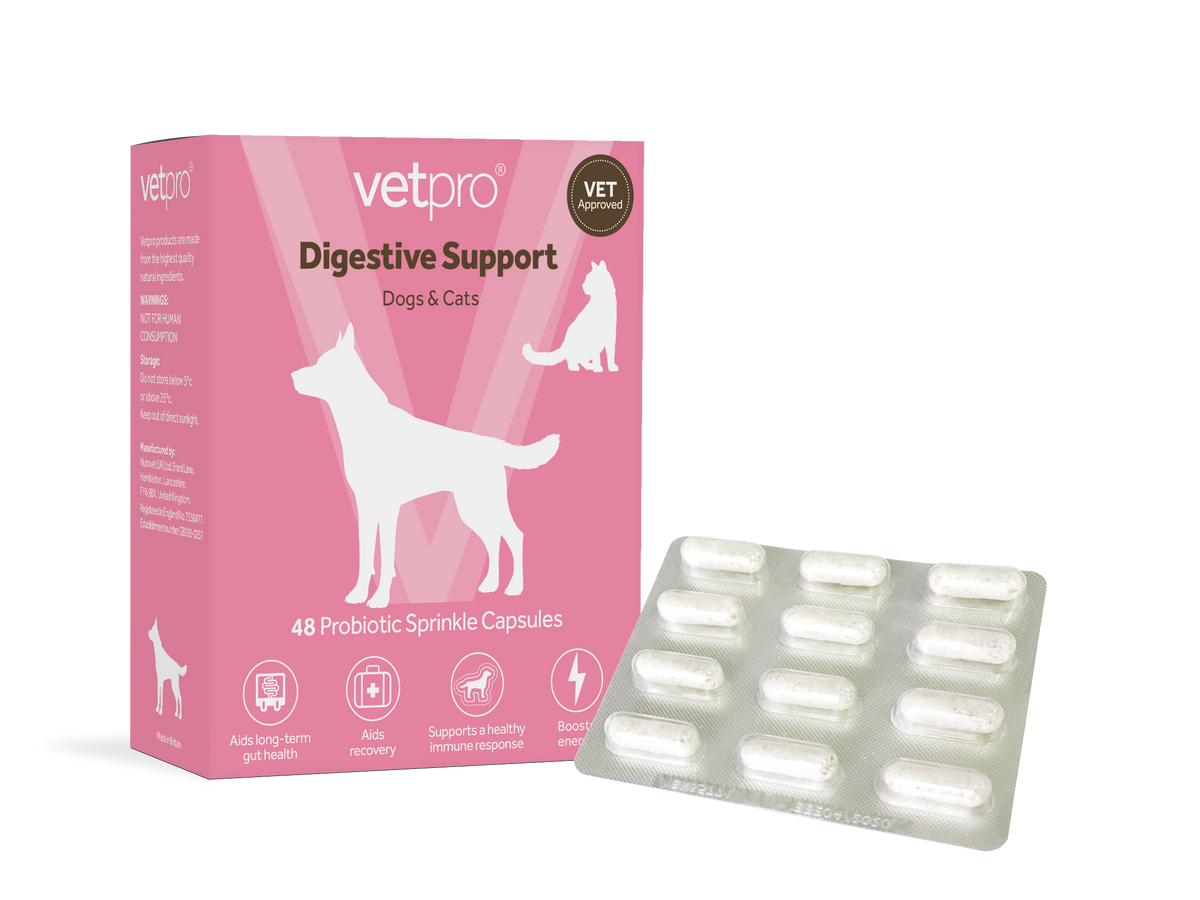 Vetpro Digestive Support