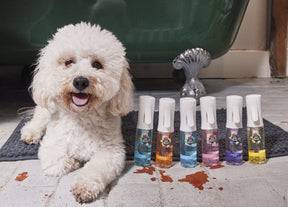 Pet Head Hair Mist 100ml (5 fragrances)