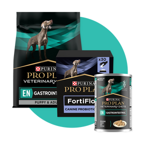 Purina EN Gastrointestinal Bundle with Fortiflora