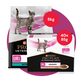 Purina UR Urinary Cat Bundle