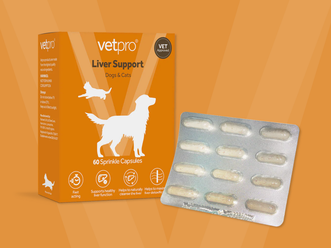 Vetpro Premium Pet Healthcare | Pet Health Club Shop