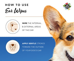 Pet Head Health Ear Wipes