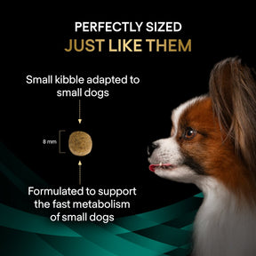 PURINA® PRO PLAN® Veterinary Diets - Canine EN Gastrointestinal Small & Mini 4kg