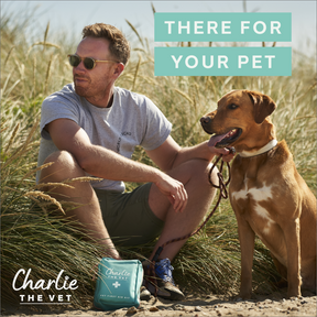 Charlie The Vet Pet First Aid Kit