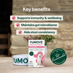 YuMOVE Digestive Support Pre & Probiotic for Dogs