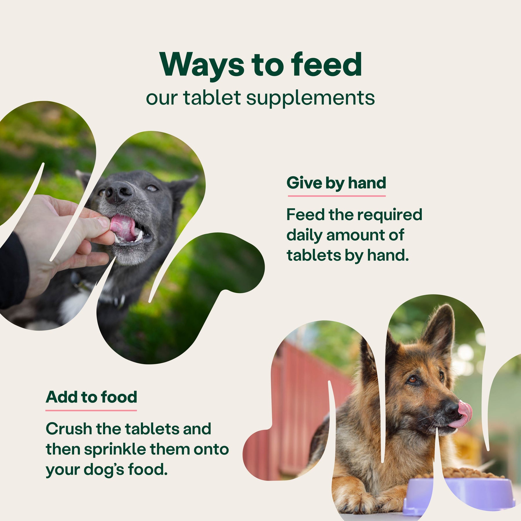 YuMOVE Digestive Support Pre & Probiotic for Dogs