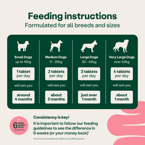 YuMOVE Digestive Support Pre & Probiotic for Dogs