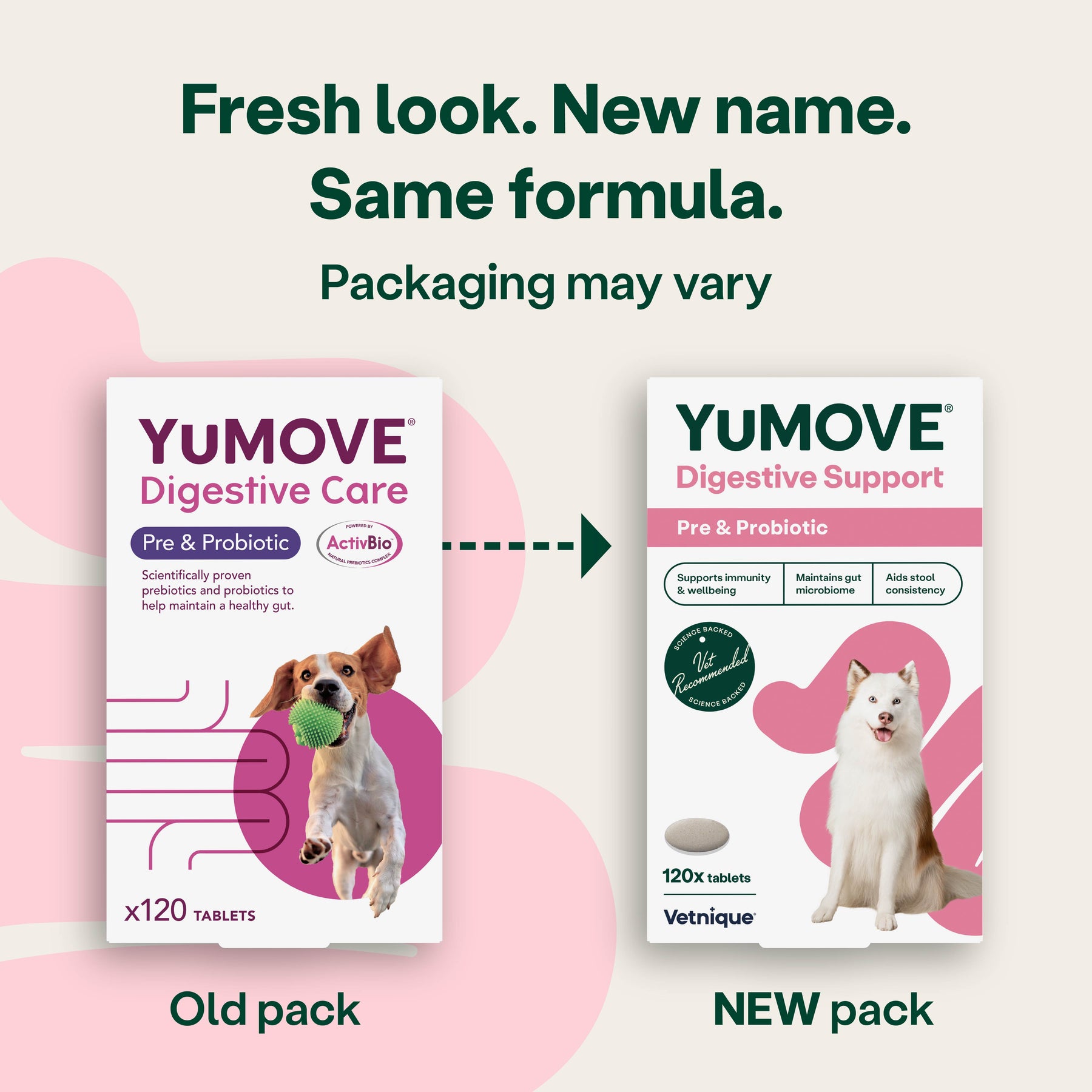 YuMOVE Digestive Support Pre & Probiotic for Dogs