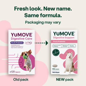 YuMOVE Digestive Support Pre & Probiotic for Dogs