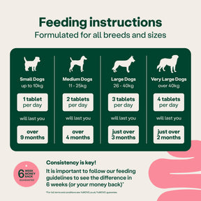 YuMOVE Digestive Support Pre & Probiotic for Dogs