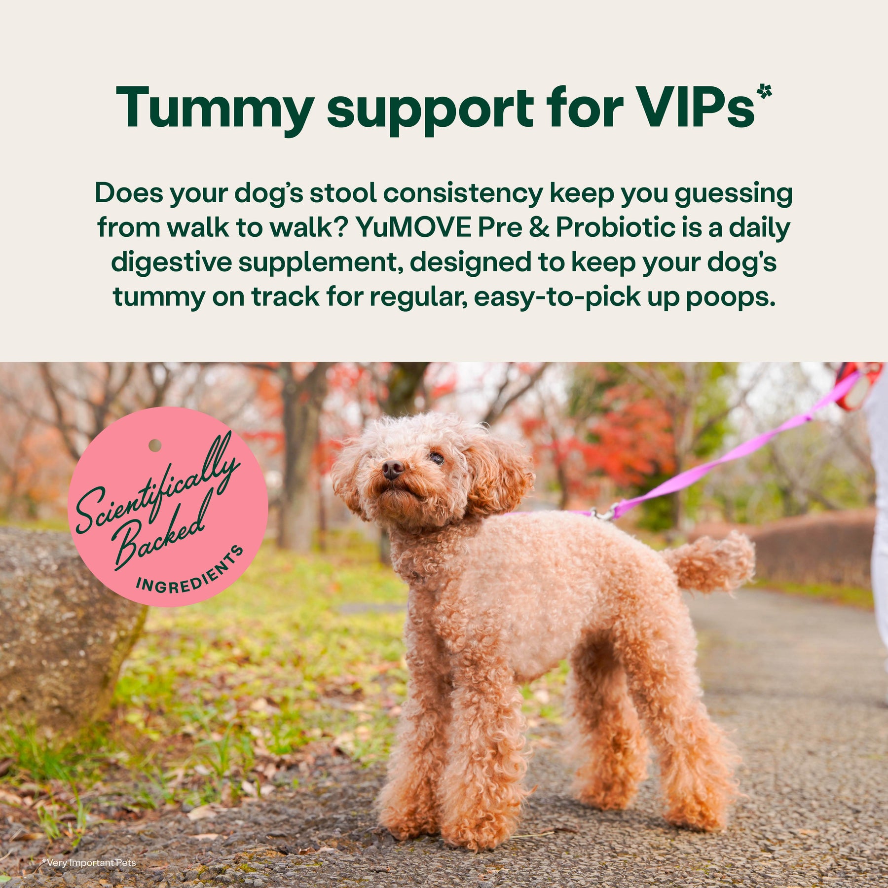 YuMOVE Digestive Support Pre & Probiotic for Dogs