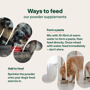 YuMOVE Digestive Support Pre & Probiotic for Dogs Pouch 180g