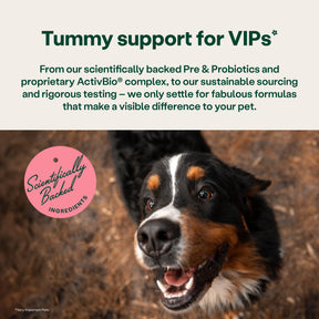 YuMOVE Digestive Support Pre & Probiotic for Dogs Pouch 180g