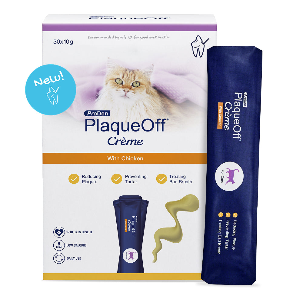 Plaque Off Creme for Cats