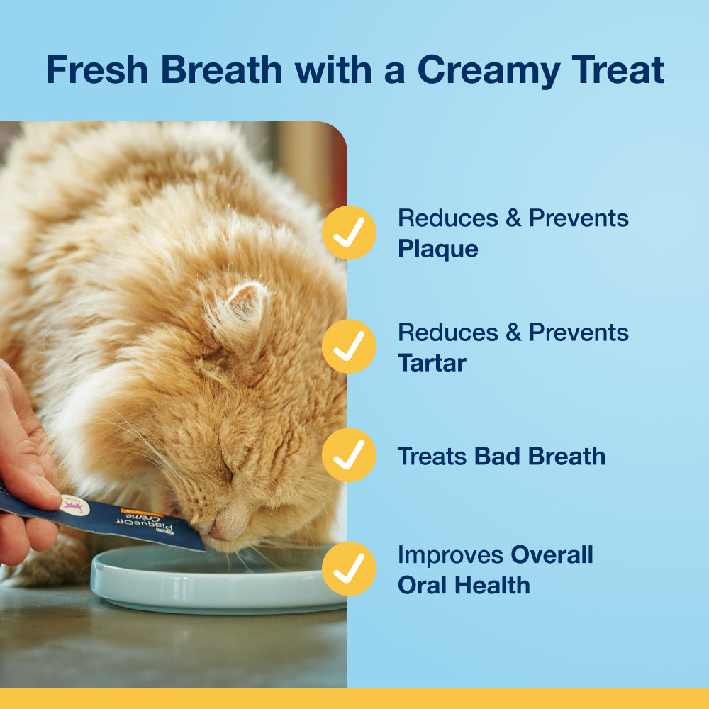 Plaque Off Creme for Cats