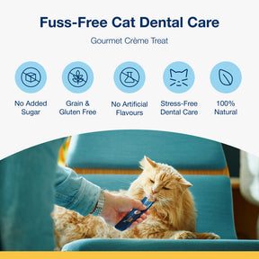 Plaque Off Creme for Cats