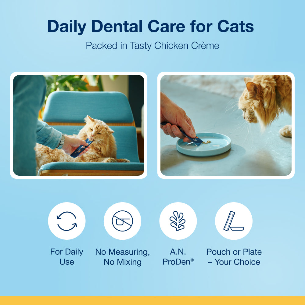 Plaque Off Creme for Cats
