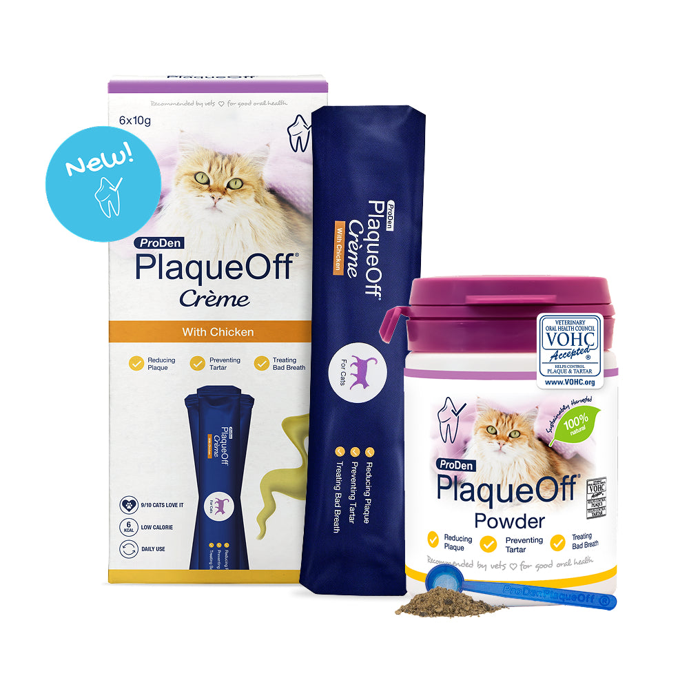 Plaque Off Creme for Cats
