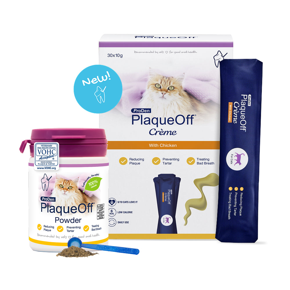 Plaque Off Creme for Cats