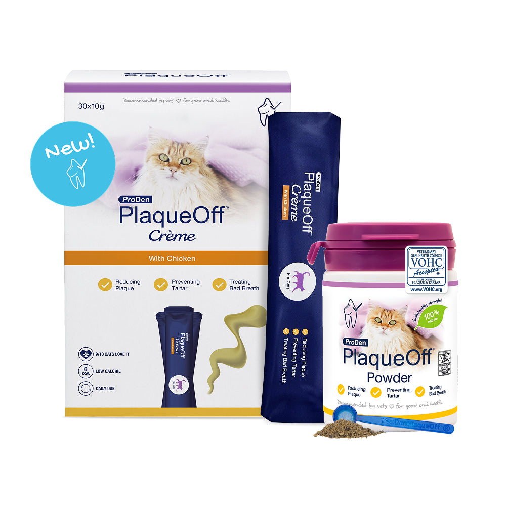 Plaque Off Creme for Cats